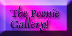 The Poonie Gallery!